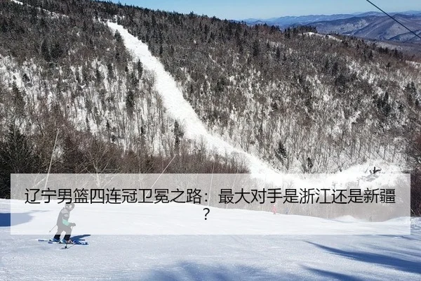liao-ning-nan-lan-si-lian-guan-wei-mian-zhi-lu-zui-da-dui-shou-shi-zhe-jiang-hai-shi-xin-jiang-2-598.jpg